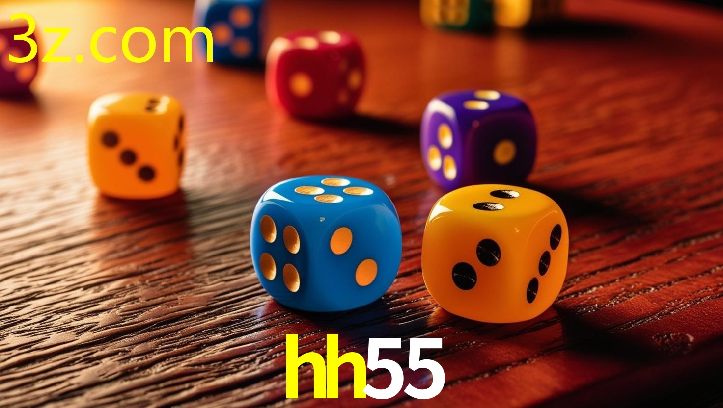 HH55.COM