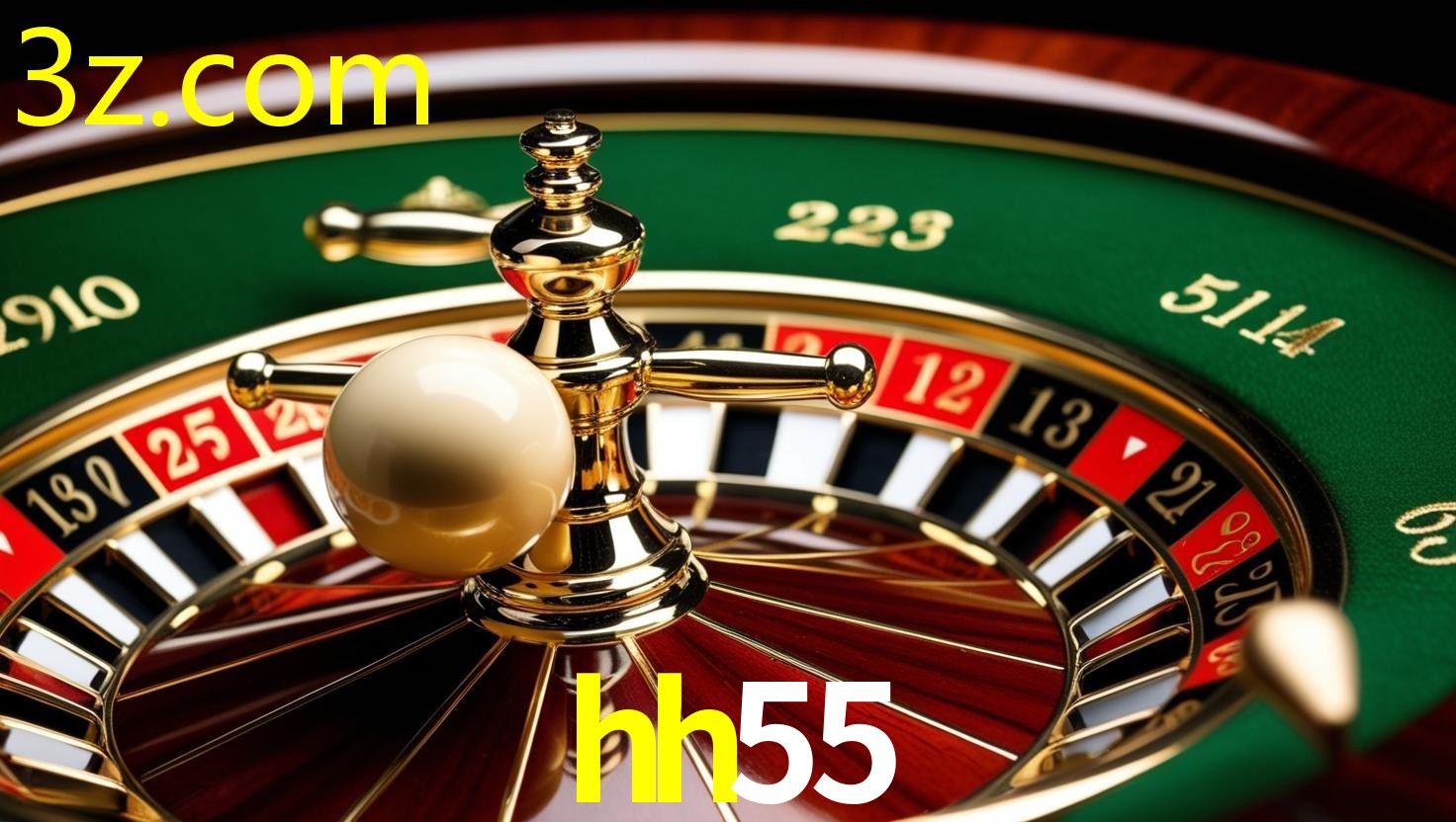 HH55.COM